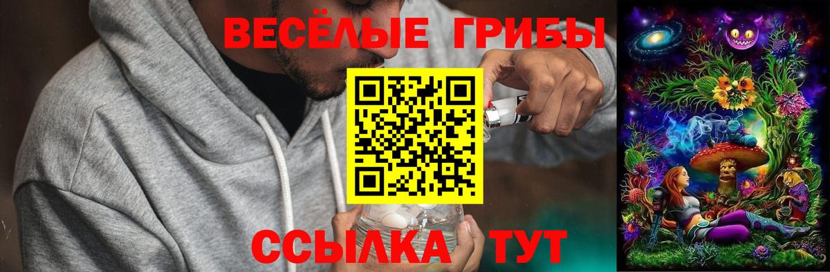 Галлюциногенные грибы Magic Shrooms Кинель